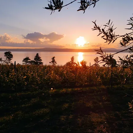 Glamping - Surfcamp 豪华帐篷